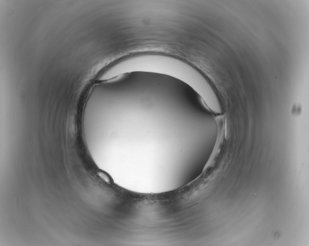 X0000090420252200708101949