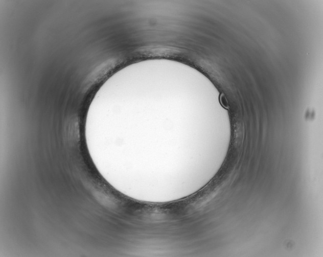 X0000090420254200708101949