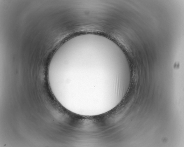 X0000090420255200708101949