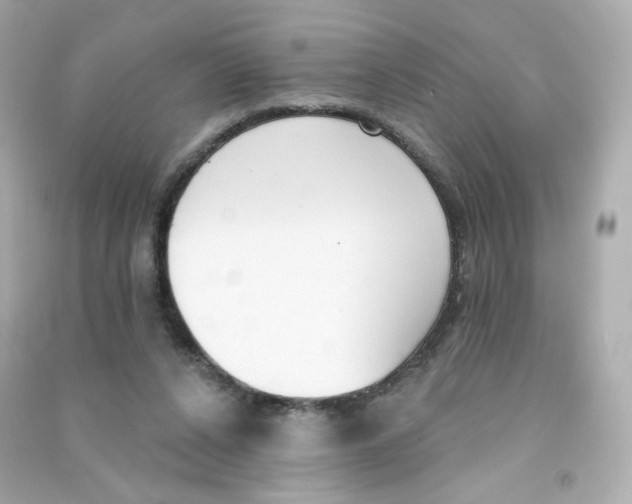 X0000090420256200708101949