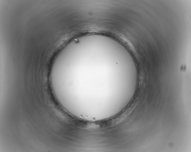 X0000090420257200708101949