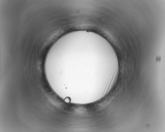X0000090420258200708101949