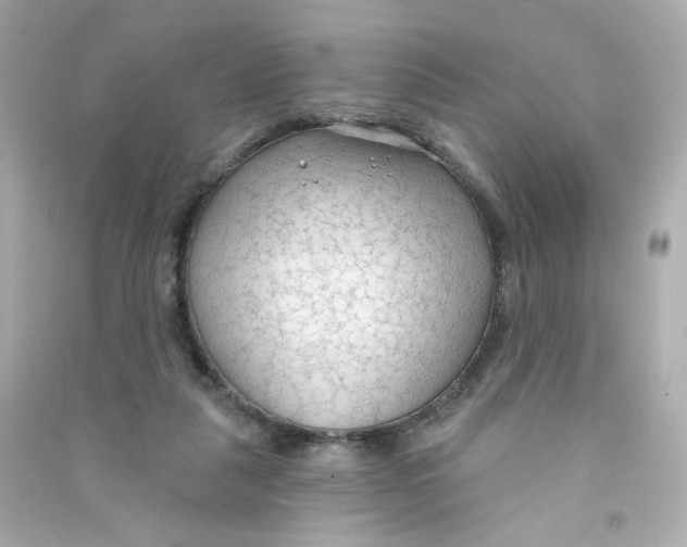 X0000090420259200708101949