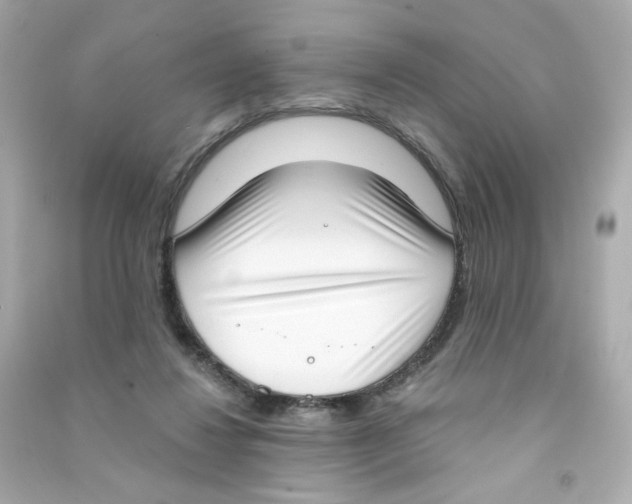 X0000090420260200708101949
