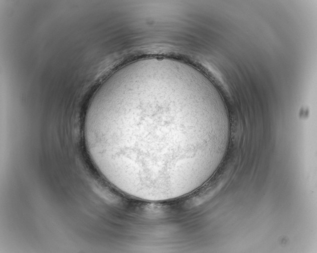 X0000090420261200708101949
