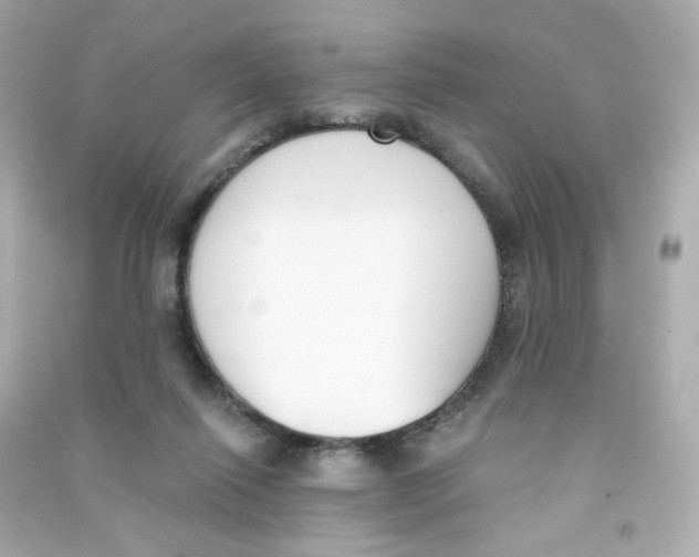 X0000090420262200708101949
