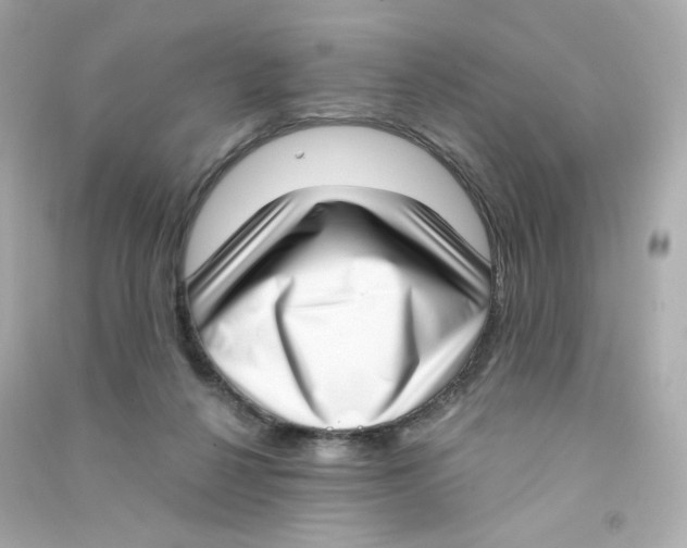 X0000090420264200708101949