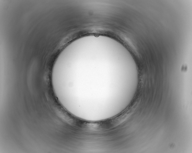 X0000090420265200708101949