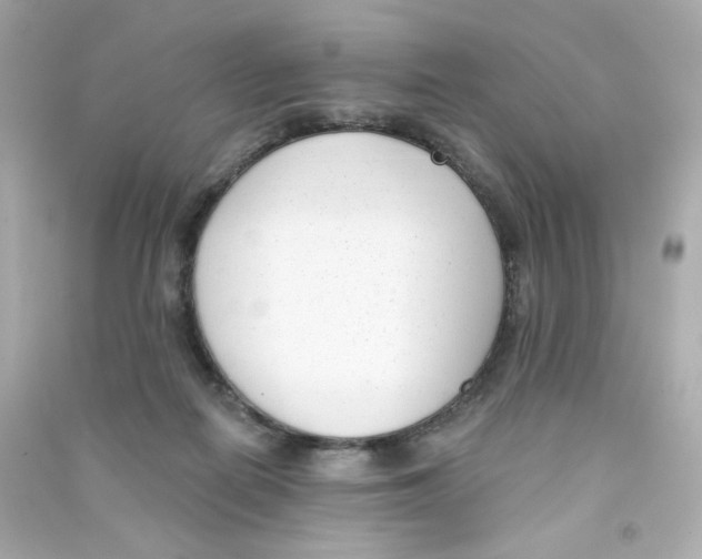 X0000090420266200708101949
