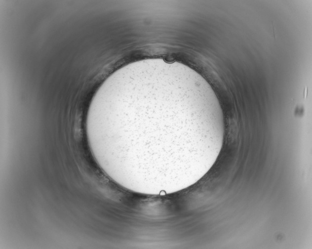 X0000090420267200708101949