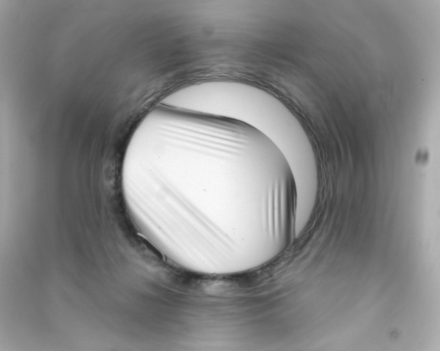 X0000090420268200708101949