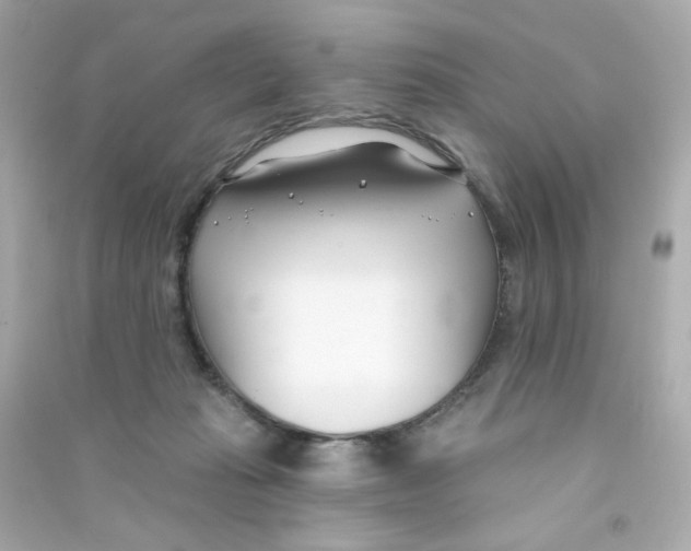 X0000090420269200708101949