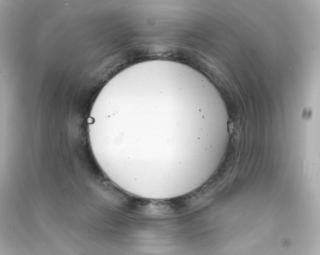 X0000090420270200708101949
