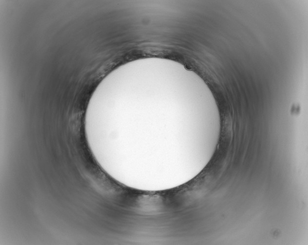 X0000090420271200708101949