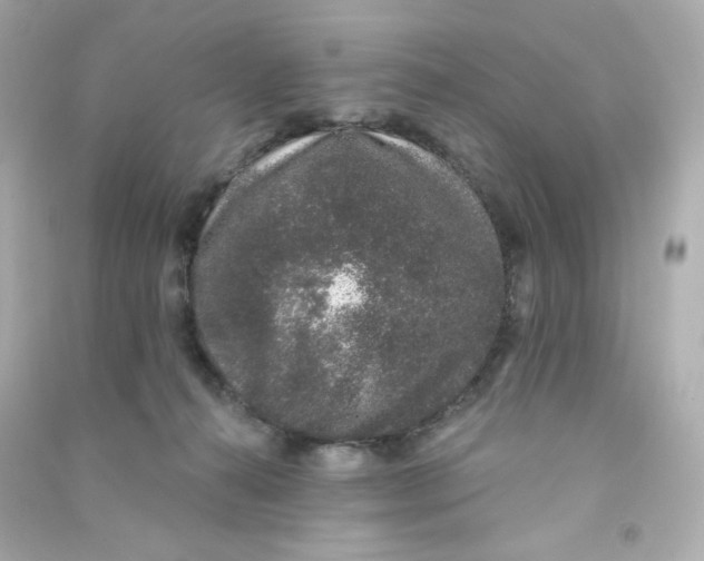 X0000090420272200708101949