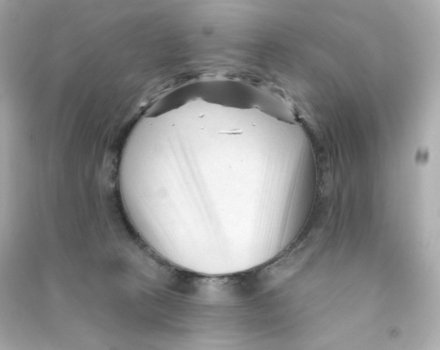 X0000090420273200708101949