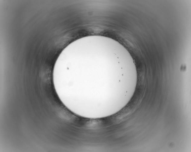 X0000090420274200708101949