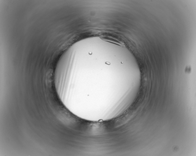 X0000090420275200708101949