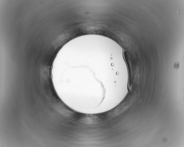 X0000090420278200708101949