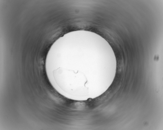 X0000090420279200708101949