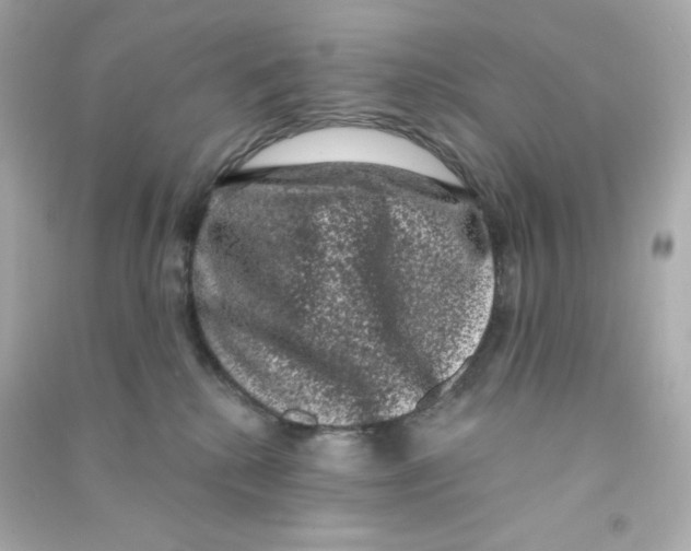 X0000090420280200708101949
