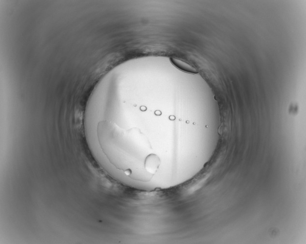 X0000090420281200708101949