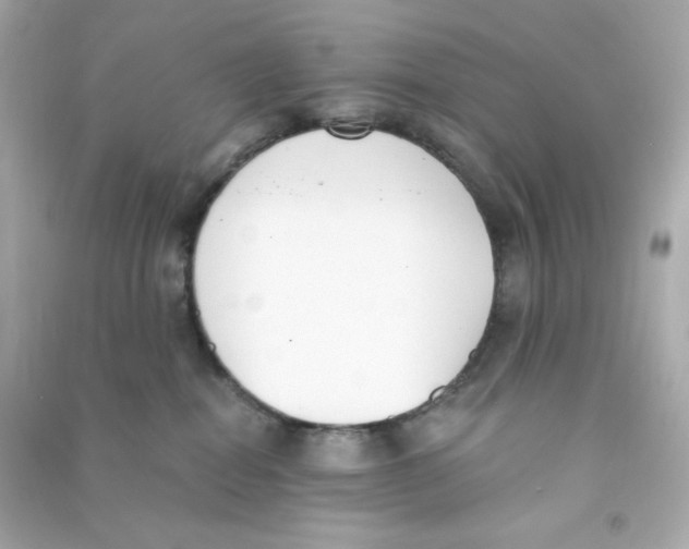 X0000090420282200708101949