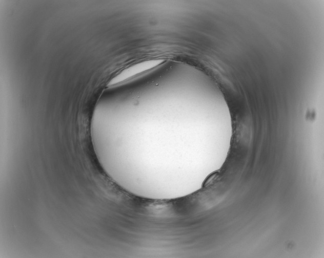 X0000090420283200708101949