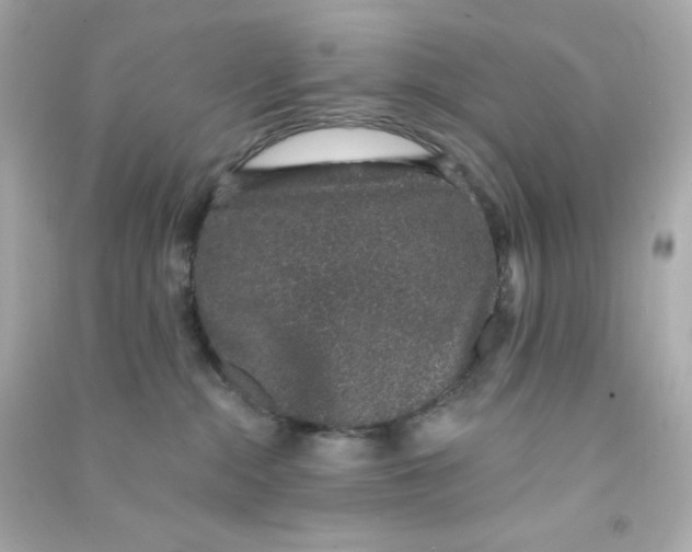 X0000090420284200708101949