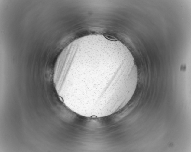 X0000090420285200708101949