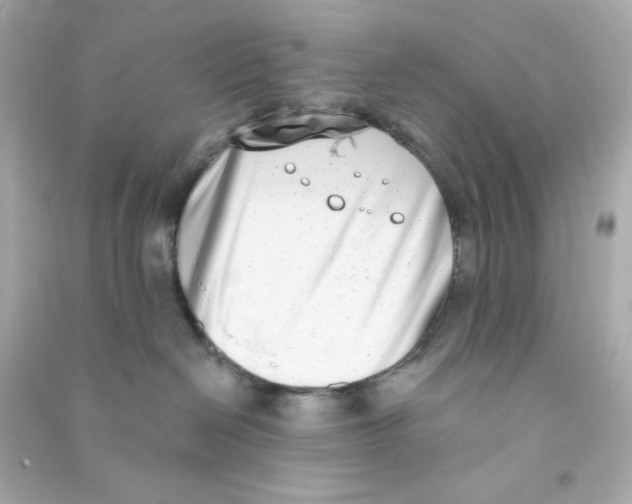 X0000090420286200708101949