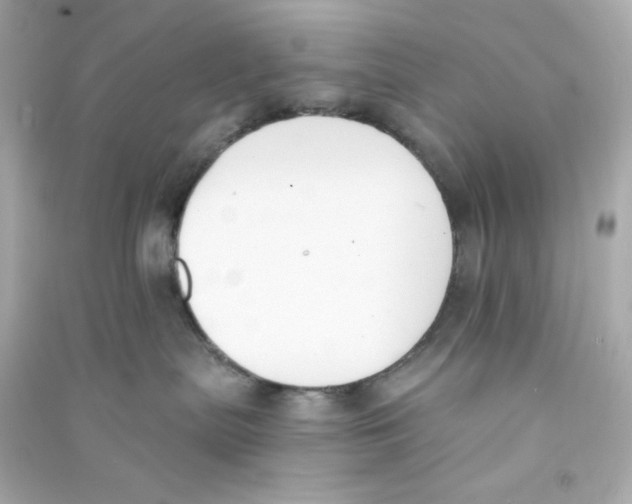X0000090420287200708101950