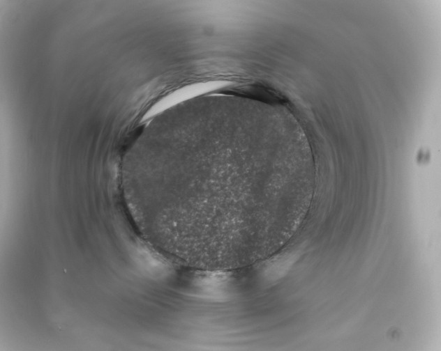 X0000090420288200708101950