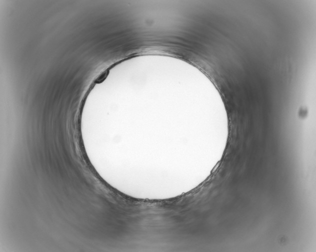 X0000090420289200708101949