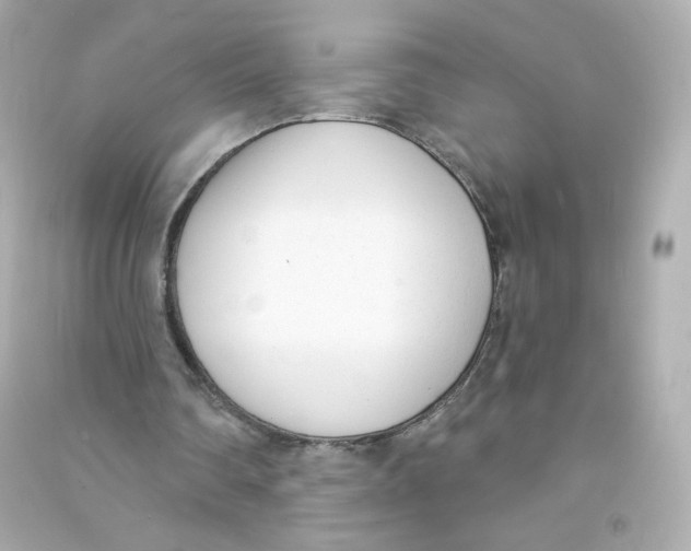 X0000090420290200708101949