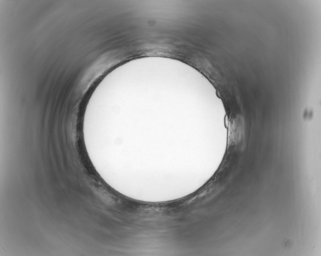 X0000090420291200708101949