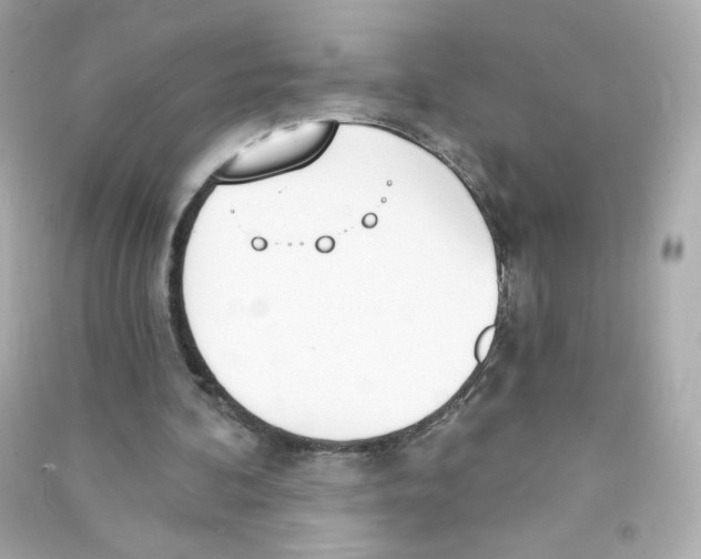 X0000090420292200708101949