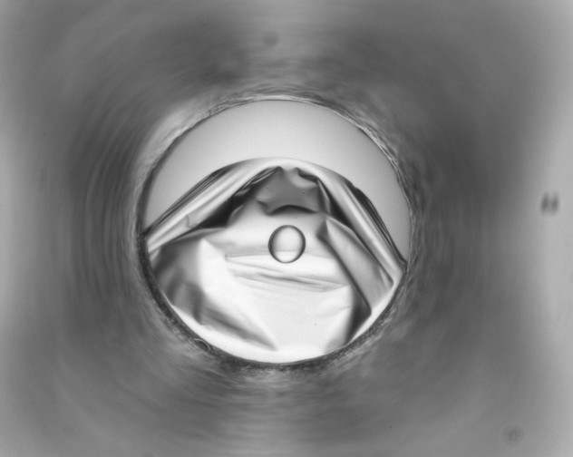 X0000090420293200708101949