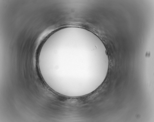 X0000090420294200708101949