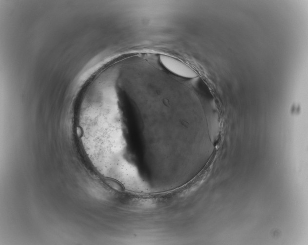 X0000090420295200708101949