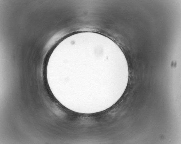 X0000090420296200708101949