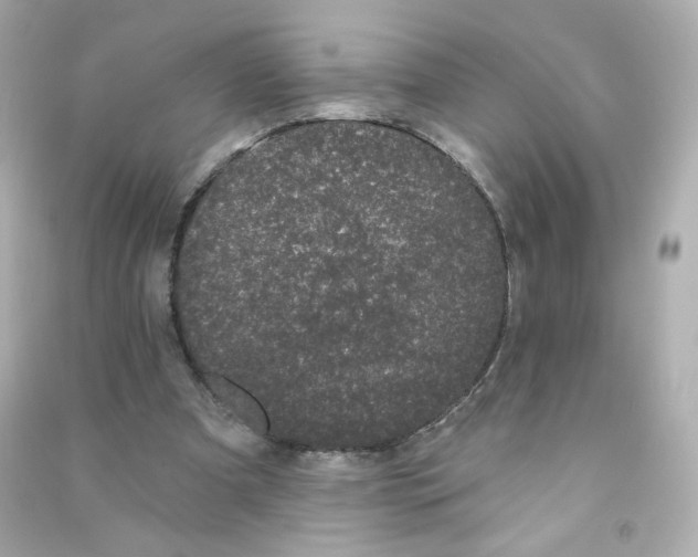 X0000090420297200708101949