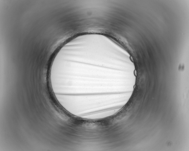 X0000090420299200708101949