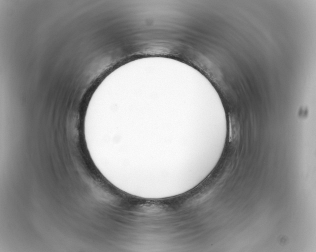 X0000090420300200708101949
