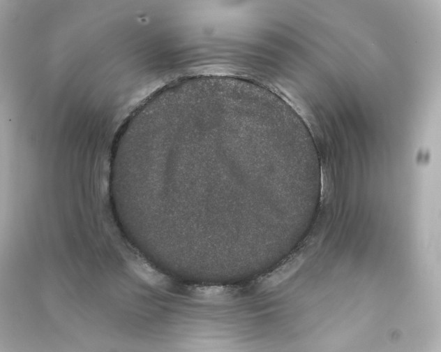 X0000090420301200708101949