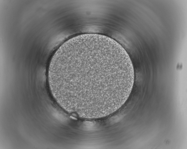 X0000090420302200708101949