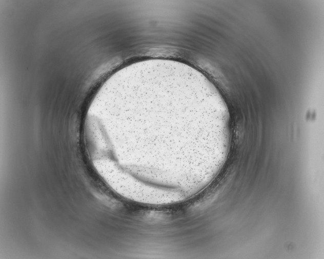 X0000090420303200708101948