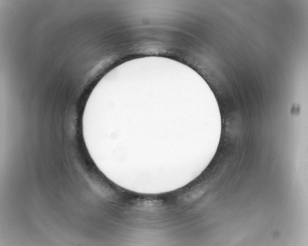 X0000090420304200708101948