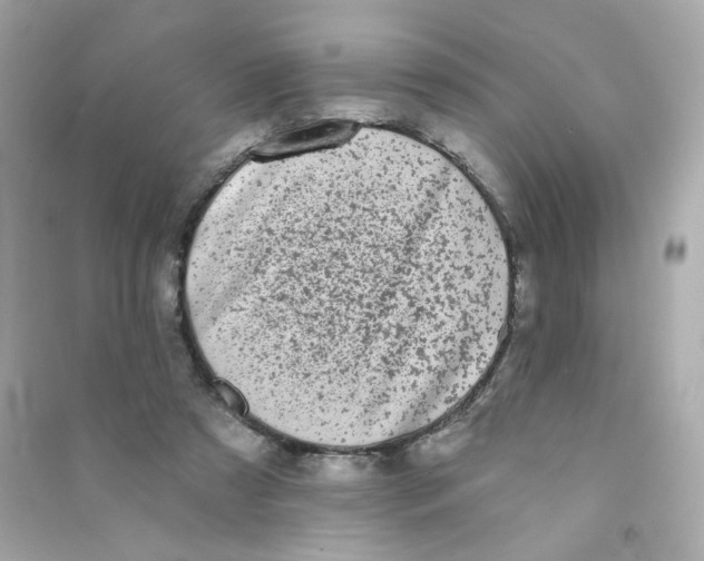 X0000090420305200708101948