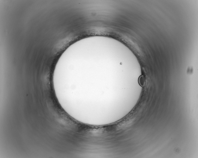 X0000090420306200708101948